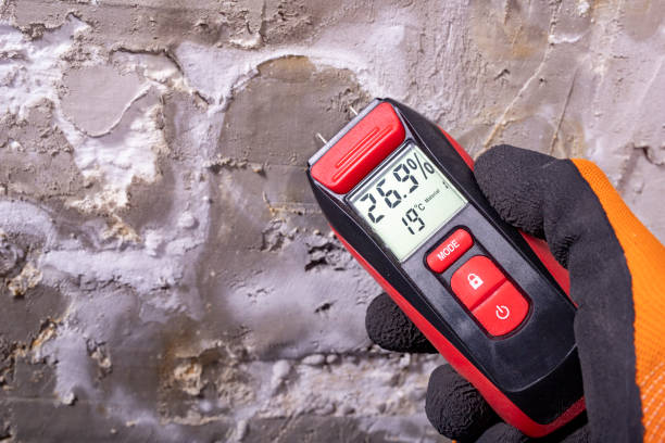 Best Toxic Mold Removal  in England, AR